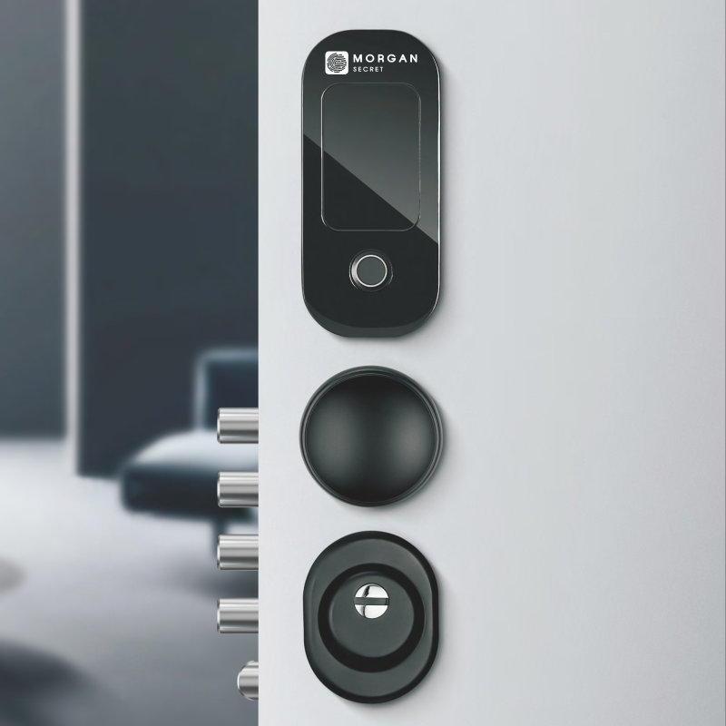 Купить электронный биометрический замок Morgan Secret Smart Automatic по цене от производителя